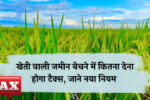 Land Rule