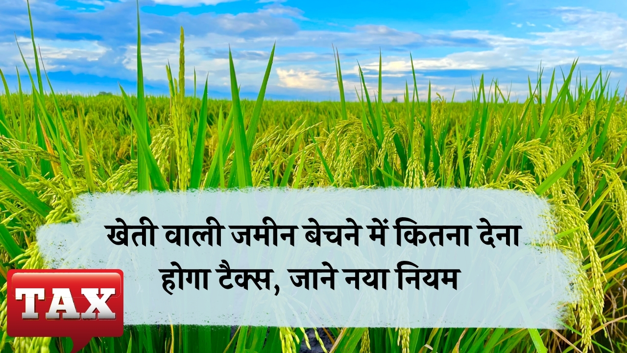 Land Rule